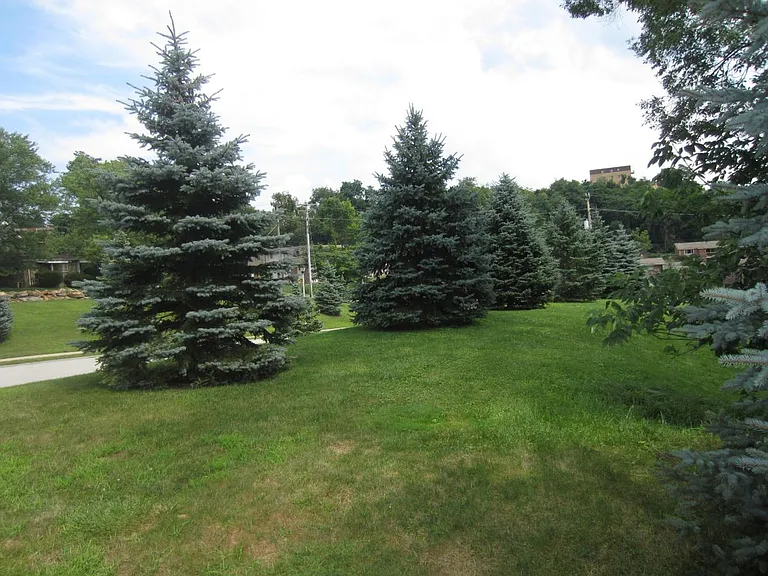 216 Blue Grass Cir — Photo 3
