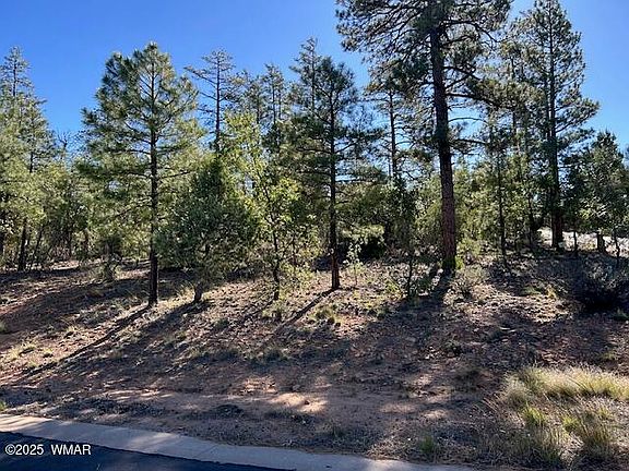5th image of 1901 S Little Creek Ct