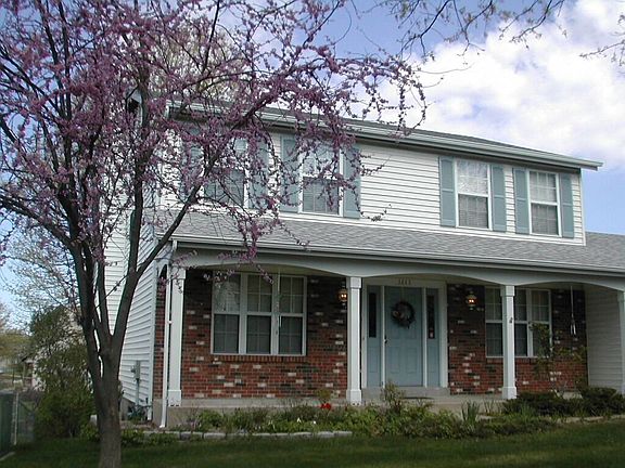 Mature flowering trees