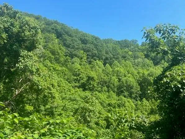 0 Pond Fork Johns Creek Rd, Pikeville, KY 41501