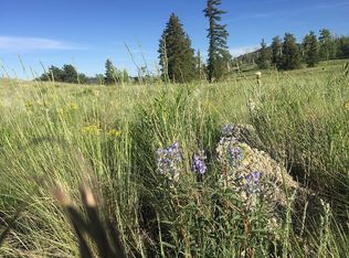 0 Kaufman Rd, Buena Vista, CO 81211