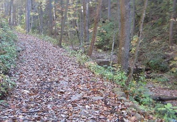 2nd image of 232 Andes Rdg #4.66