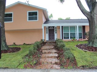 4424 Willowrun Ln, Tampa, FL 33624