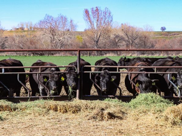 Pioneer Rd, Homedale, ID 83628