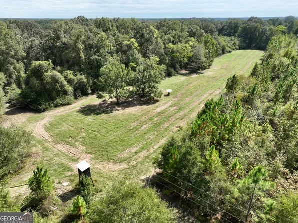 0 Abbeville Hwy, Pineview, GA 31071