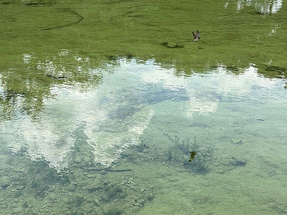 2nd image of 174 RIVER HAVEN RD