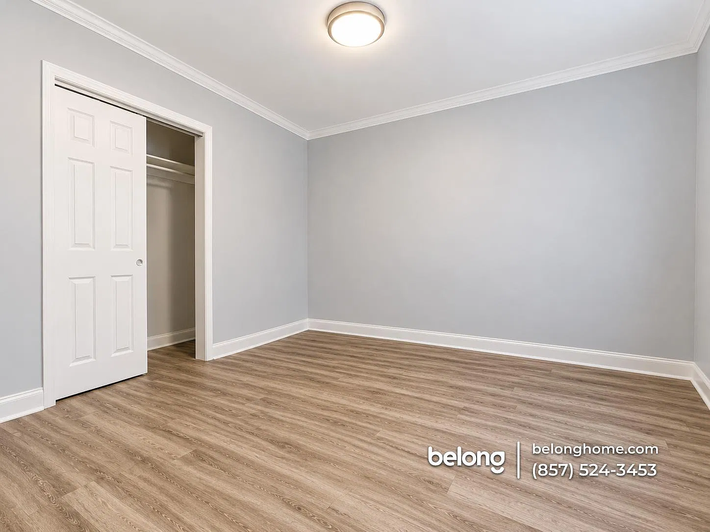 2 bed, 1.0 bath, 721 sqft, $3,635 — Photo 4