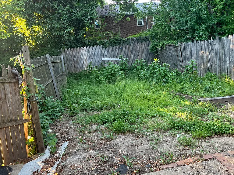 15 Paynter Dr — Photo 7