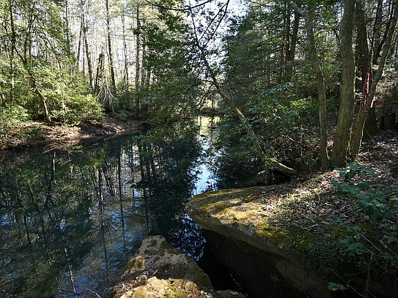 3rd image of 21 Acre Mantria Ave