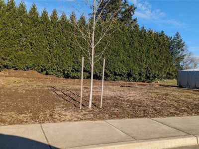 800 Cedar Drive, Everson, WA, 98247
