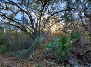 0 NE Gold Dust Rd, Branford, FL 32008