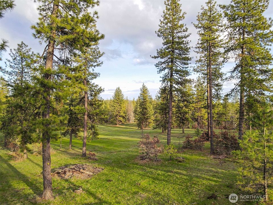 2nd image of 0 Lot 8 Greyback Mountain Road