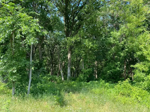 L3 B2 54th St SE, Clear Lake, MN 55319