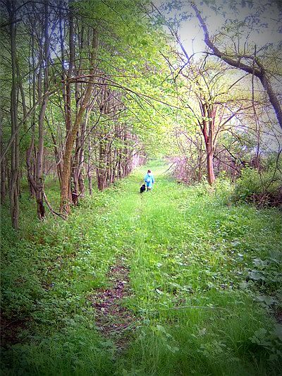 one of the many path