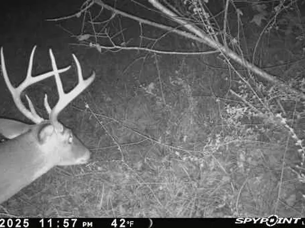 0 Private Rd, Selma, AL 36701