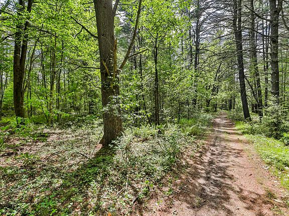 2nd image of 2A & 2B Camp Road