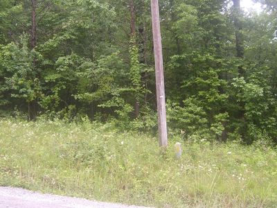 0 Holly Dr, Pikeville, TN, 37367