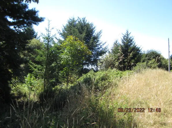 20 & 30 Eileen Rd, Whitethorn, CA 95589