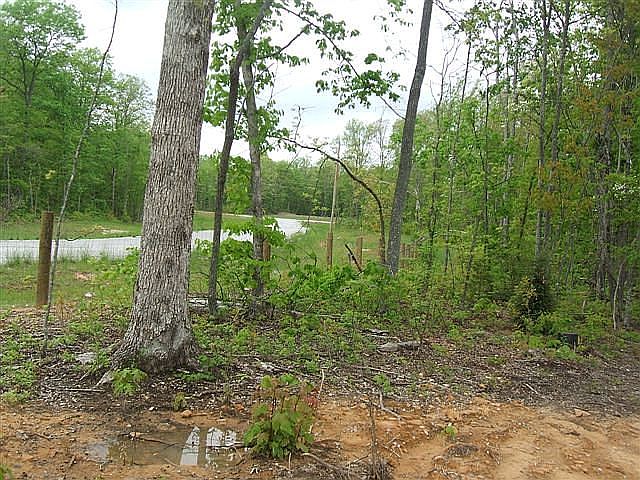 1st image of Pioneer Trail Ln #38