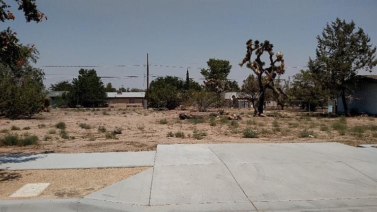 2nd image of 0407214210000 Smoke Tree
