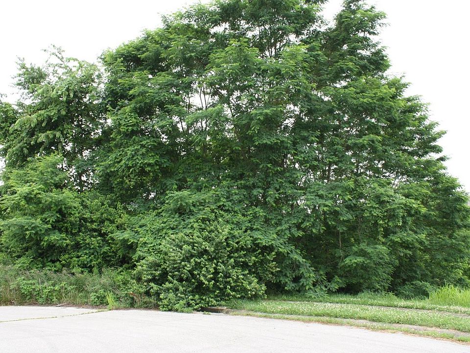 2nd image of 2021 Pleasant Pointe Ct