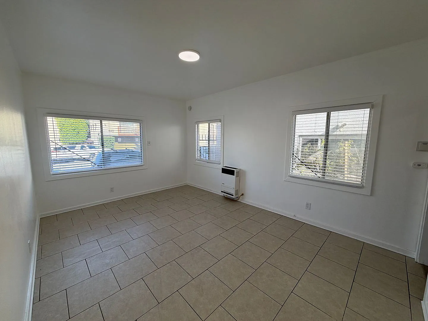 636 Lime — Photo 2