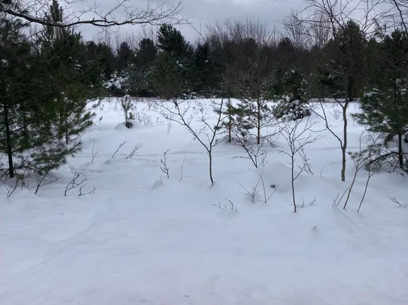 0 Palmer Dr, Saint Regis Falls, NY 12980