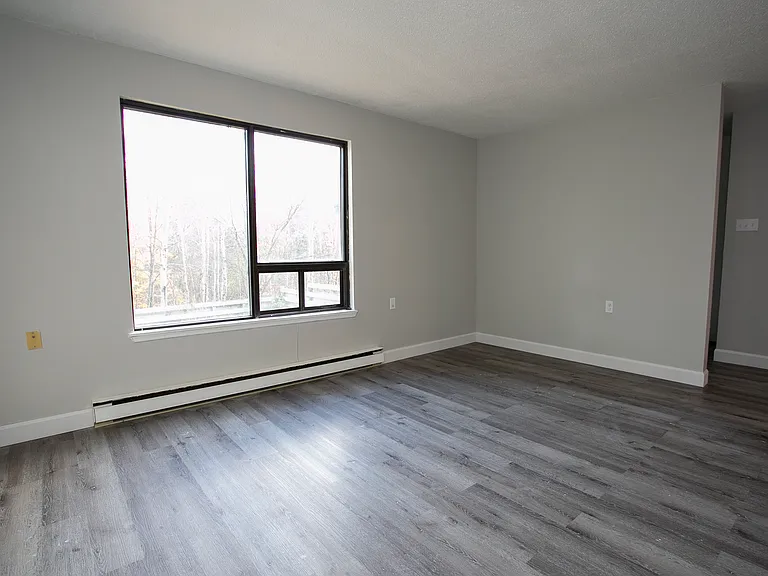 24 Clearview Dr — Photo 7