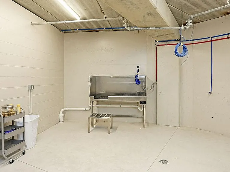 Dog Washing Station