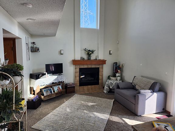 great den with gas fireplace