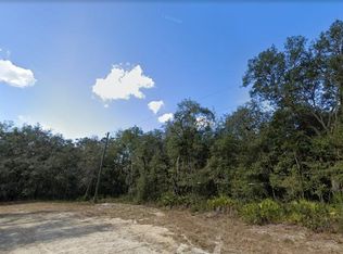 32431 Headstone St #8, Webster, FL 33597