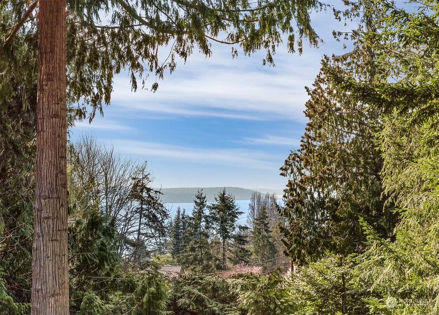 770 Vista Drive photo 1
