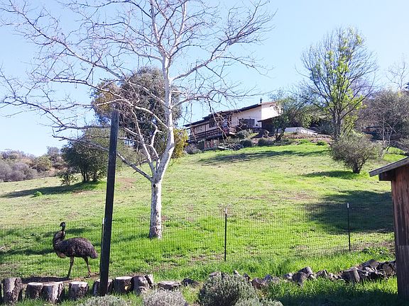 Upper pasture & house
