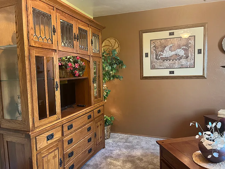 580 S Corpino De Pecho — Photo 8