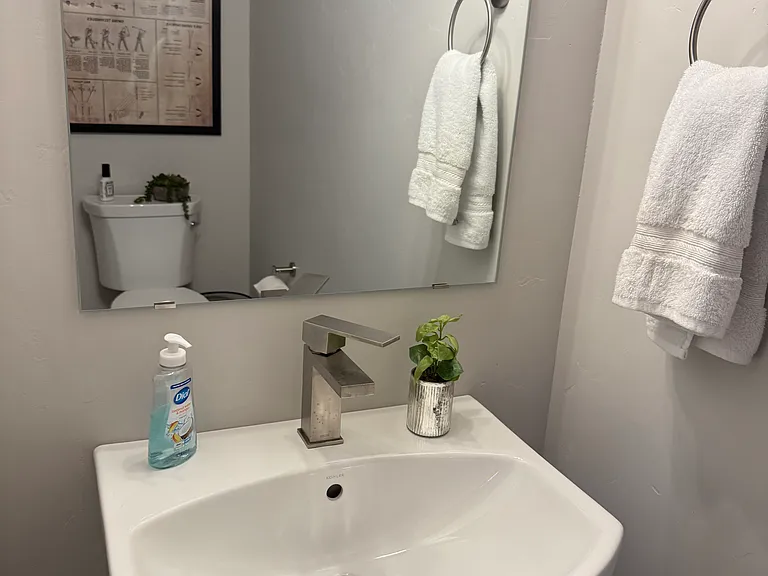 Shared powder bathroom
