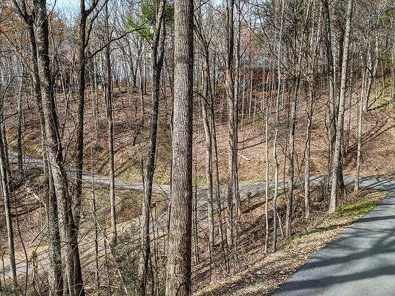 2nd image of 194 Ski View Ln Lot 194A
