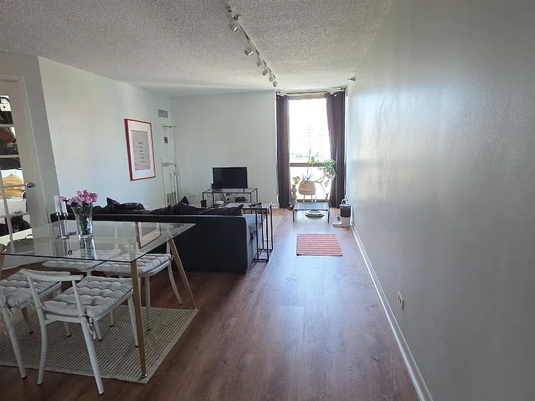 1122 N Clark St #1005 — Photo 5