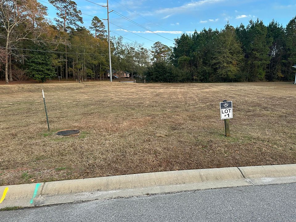 1st image of 111 Sago Palm Dr