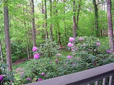 Private Wooded Setting