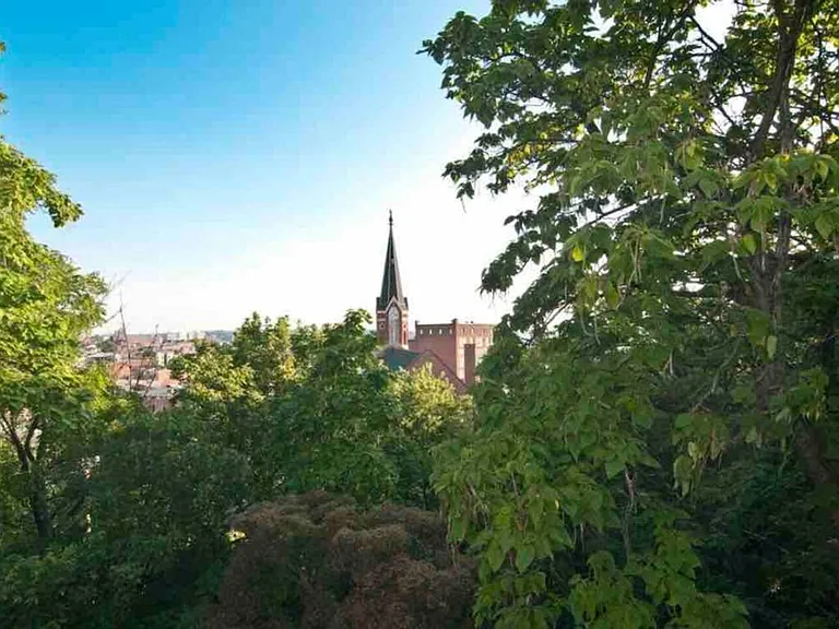 Window View