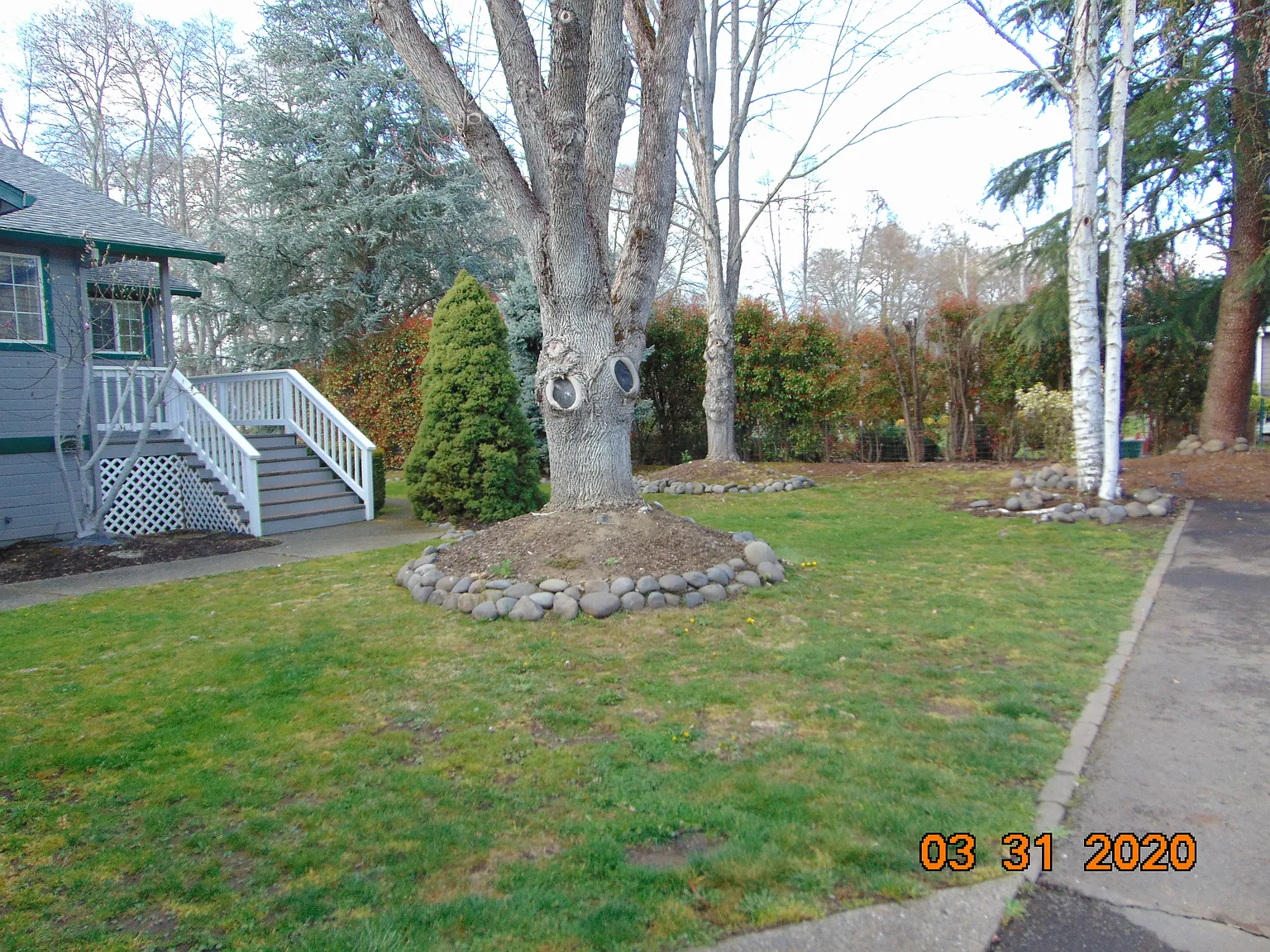 3 bed, 1450 sqft, $1,650 — Photo 3
