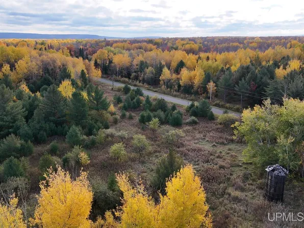 Tbdc20 Firesteel Rd, Ontonagon, MI 49953