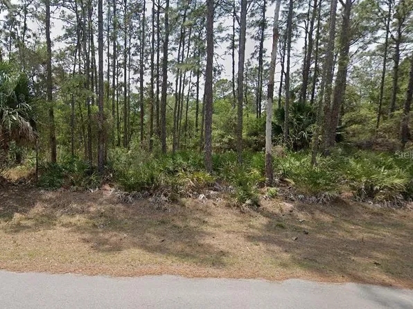 11728 & 11696 W FLAXEN DRIVE LOT 15, CRYSTAL RIVER, FL 34428