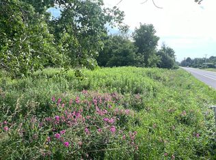 0 W Lee Rd LOT WP001, Albion, NY 14411