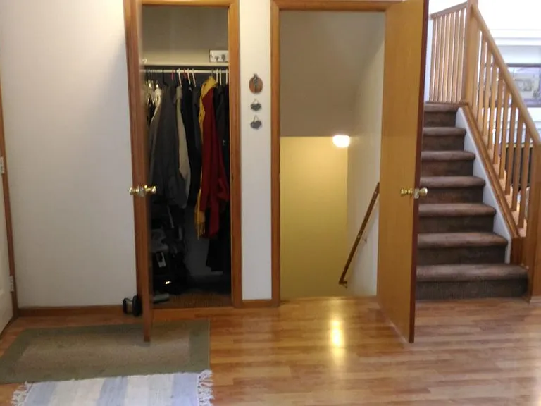 Entry Closet and Door To Basement