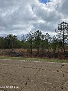 Pine Meadows Dr, Crystal Springs, MS, 39059