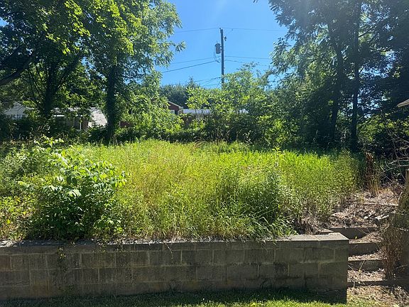 4th image of 113 Ewart Ave