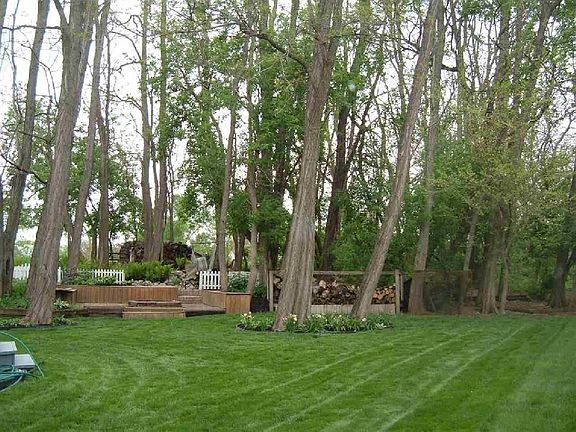 Extensive Landscaping