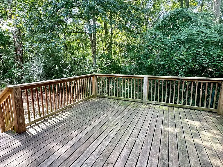 4790 Cinnamon Fern Dr — Photo 2