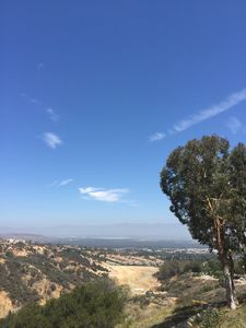 2576 Avenida Del Vis APT 102, Corona, CA, 92882